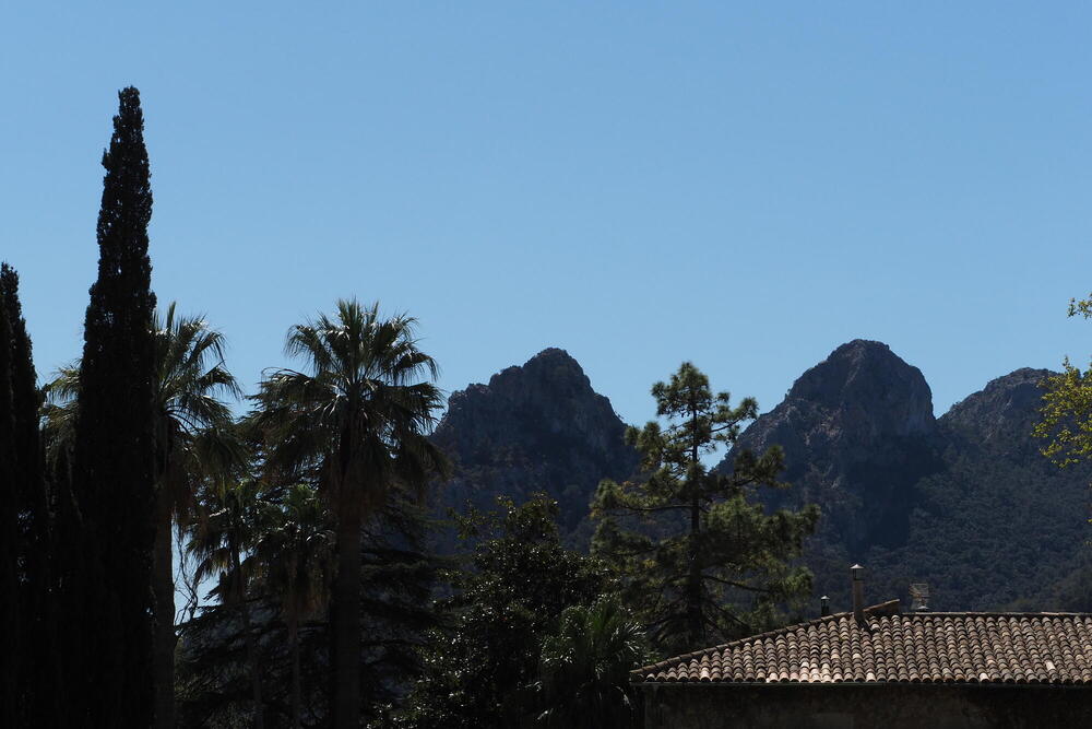 Some hills south of Sóller, Mallorca photographed from the Jardines de Alfabia in the background. In the foreground, a few palm and cypress trees and the corner of an old roof.