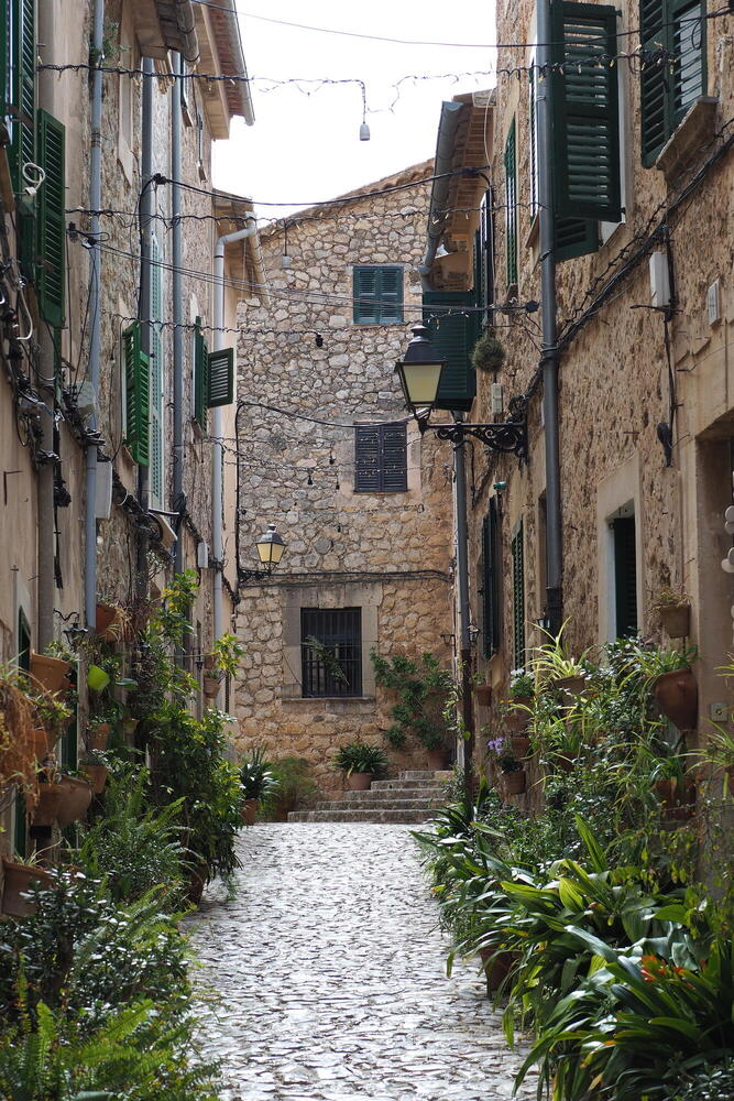 A small alley filled with potted green plants of all kinds in one of the not-so-busy parts of Valldemossa, Mallorca.